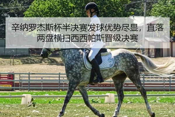 辛纳罗杰斯杯半决赛发球优势尽显，直落两盘横扫西西帕斯晋级决赛